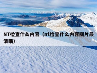 NT检查什么内容（nt检查什么内容图片最清晰）