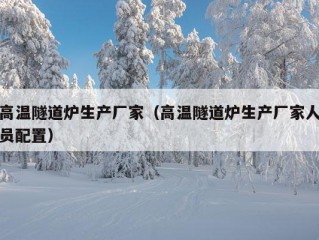 高温隧道炉生产厂家（高温隧道炉生产厂家人员配置）