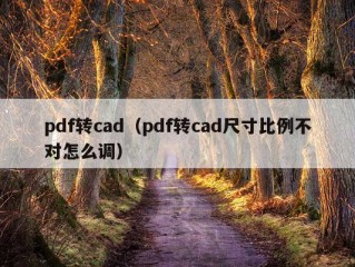 pdf转cad（pdf转cad尺寸比例不对怎么调）