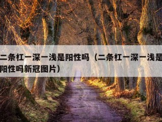 二条杠一深一浅是阳性吗（二条杠一深一浅是阳性吗新冠图片）