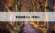 军旅肉质1v2（军官h）