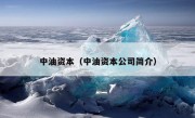 中油资本（中油资本公司简介）