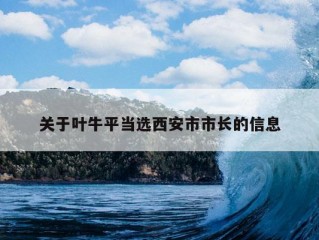 关于叶牛平当选西安市市长的信息