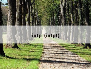 intp（intpt）