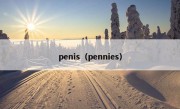 penis（pennies）