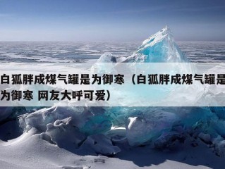 白狐胖成煤气罐是为御寒（白狐胖成煤气罐是为御寒 网友大呼可爱）