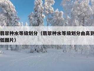 翡翠种水等级划分（翡翠种水等级划分由高到低图片）