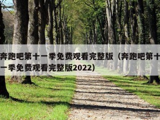 奔跑吧第十一季免费观看完整版（奔跑吧第十一季免费观看完整版2022）