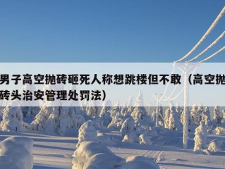 男子高空抛砖砸死人称想跳楼但不敢（高空抛砖头治安管理处罚法）