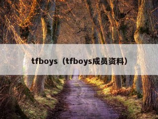 tfboys（tfboys成员资料）