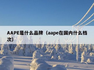 AAPE是什么品牌（aape在国内什么档次）