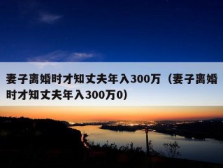 妻子离婚时才知丈夫年入300万（妻子离婚时才知丈夫年入300万0）