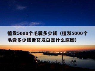 植发5000个毛囊多少钱（植发5000个毛囊多少钱舌苔发白是什么原因）