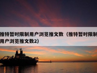 推特暂时限制用户浏览推文数（推特暂时限制用户浏览推文数2）