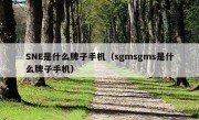 SNE是什么牌子手机（sgmsgms是什么牌子手机）