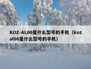 KOZ-AL00是什么型号的手机（kozal00是什么型号的手机）