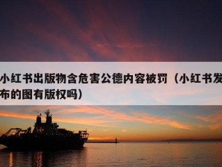 小红书出版物含危害公德内容被罚（小红书发布的图有版权吗）