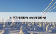 IT学习培训机构（的it培训机构）