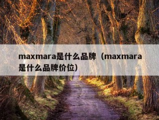 maxmara是什么品牌（maxmara是什么品牌价位）