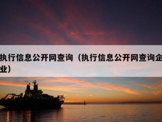 执行信息公开网查询（执行信息公开网查询企业）