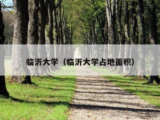 临沂大学（临沂大学占地面积）