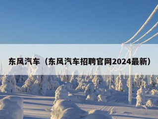 东风汽车（东风汽车招聘官网2024最新）