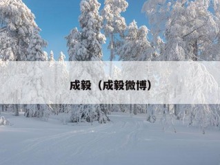 成毅（成毅微博）