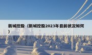 新城控股（新城控股2023年目前状况如何）