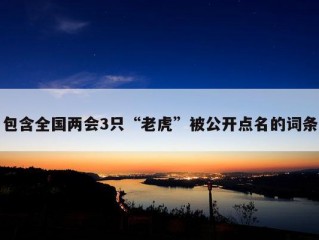 包含全国两会3只“老虎”被公开点名的词条