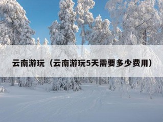 云南游玩（云南游玩5天需要多少费用）