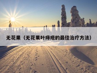 无花果（无花果叶痔疮的最佳治疗方法）