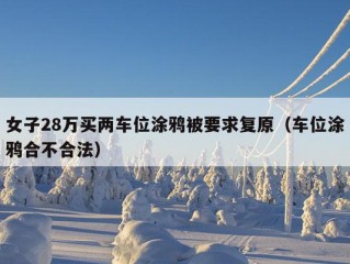 女子28万买两车位涂鸦被要求复原（车位涂鸦合不合法）