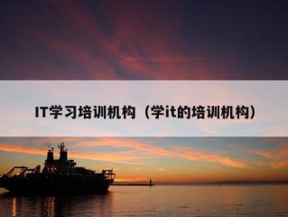 IT学习培训机构（学it的培训机构）