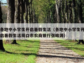 各地中小学生开启暑假生活（各地中小学生开启暑假生活周口市农商银行张峻源）