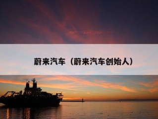 　蔚来汽车（蔚来汽车创始人）