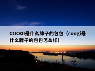 COOGI是什么牌子的包包（coogi是什么牌子的包包怎么样）