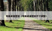 电脑桌面壁纸（电脑桌面壁纸尺寸调整）