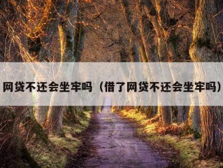 网贷不还会坐牢吗（借了网贷不还会坐牢吗）