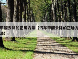 甲醛去除的正确方法（汽车甲醛去除的正确方法）