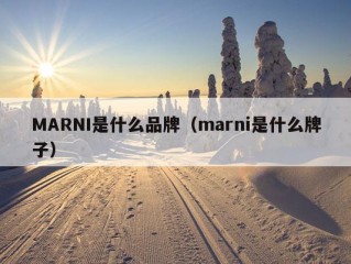 MARNI是什么品牌（marni是什么牌子）