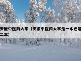 安徽中医药大学（安徽中医药大学是一本还是二本）