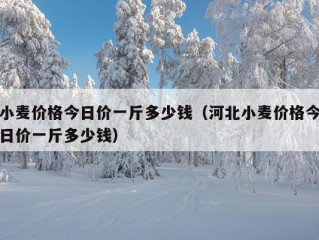 小麦价格今日价一斤多少钱（河北小麦价格今日价一斤多少钱）