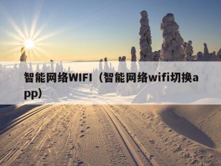 智能网络WIFI（智能网络wifi切换app）