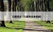 三国演义（三国演义电视剧）