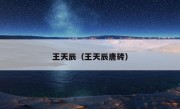 王天辰（王天辰唐砖）