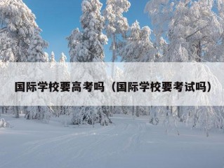 国际学校要高考吗（国际学校要考试吗）