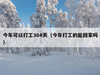 今年可以打工384天（今年打工的能回家吗）