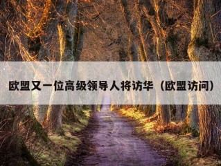 欧盟又一位高级领导人将访华（欧盟访问）