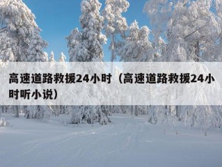 高速道路救援24小时（高速道路救援24小时听小说）