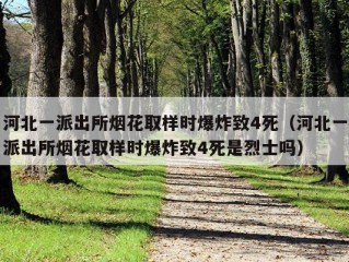 河北一派出所烟花取样时爆炸致4死（河北一派出所烟花取样时爆炸致4死是烈士吗）